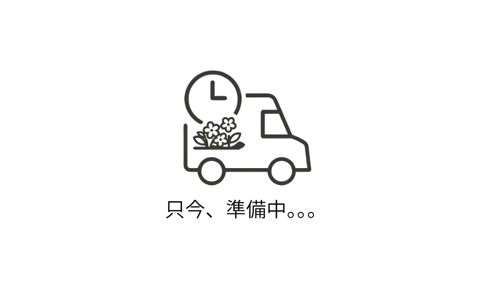 定期便